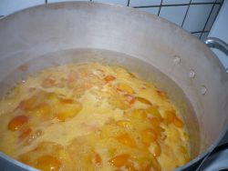 Confiture d'abricots